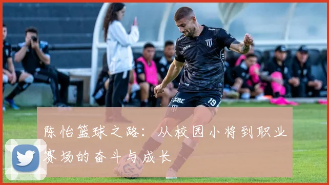 陈怡篮球之路：从校园小将到职业赛场的奋斗与成长