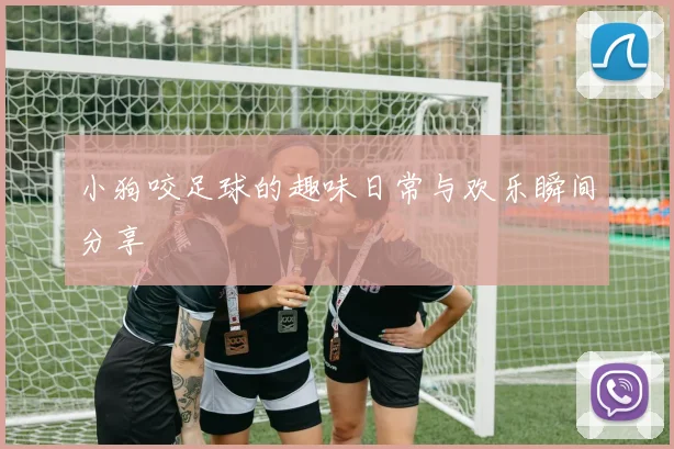 小狗咬足球的趣味日常与欢乐瞬间分享