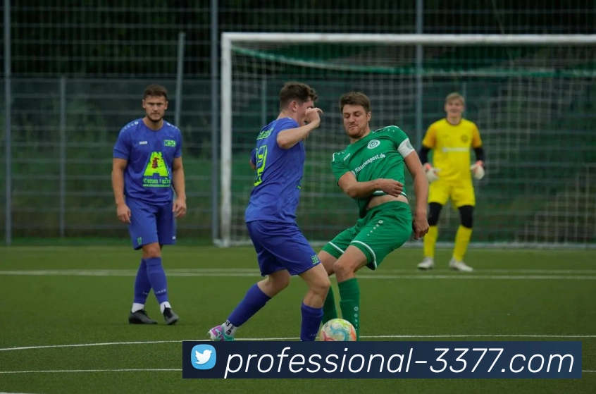 3377体育发展历程