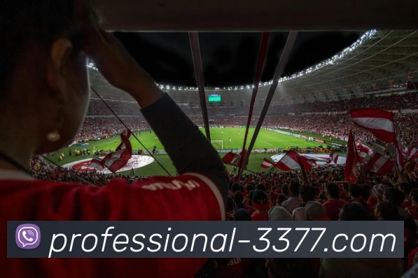 3377体育全站App 3377体育全站App
